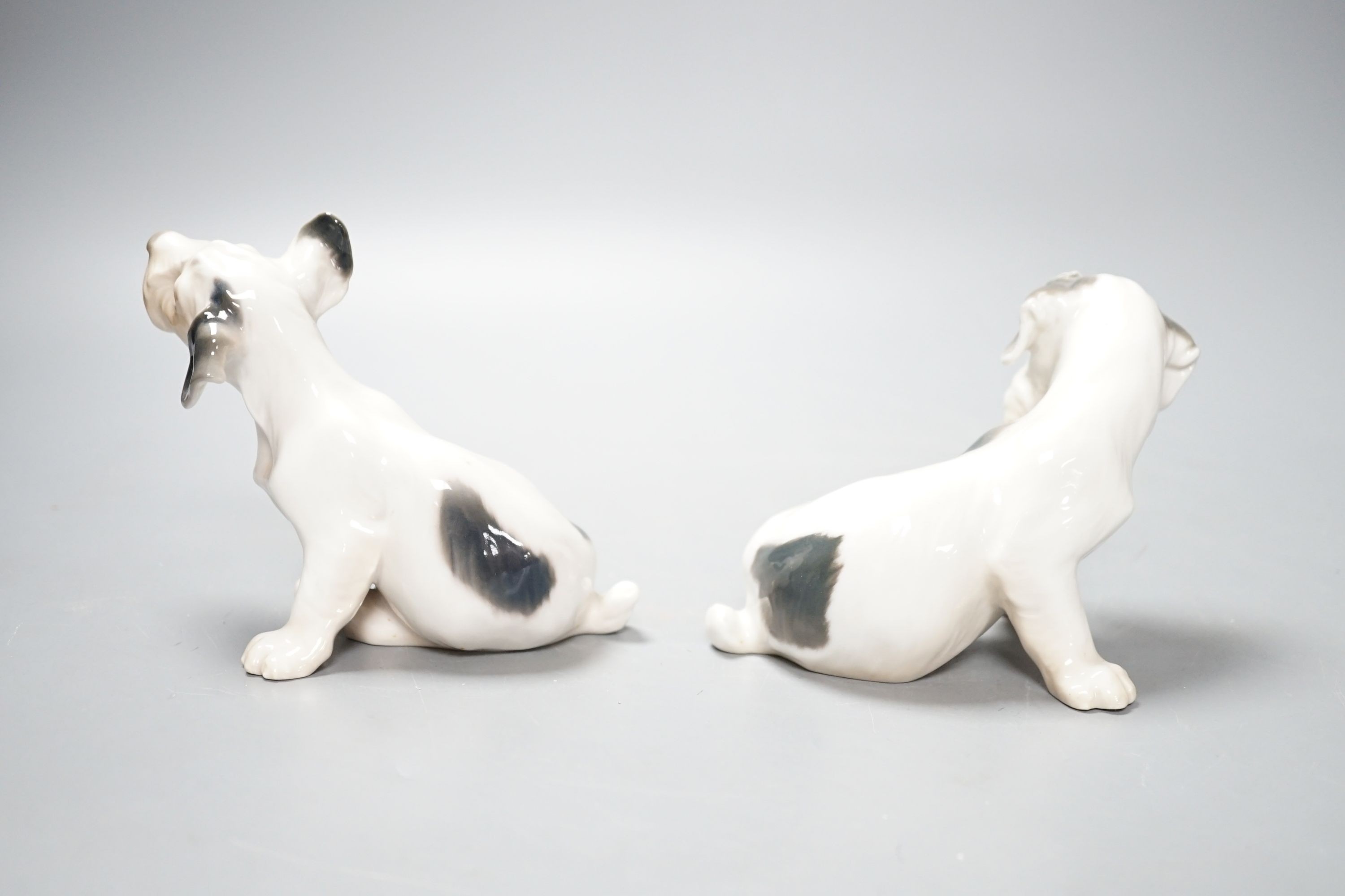 Two Royal Copenhagen figures of dogs and two Bing and Grondahl figures of dogs, largest 23 cms wide